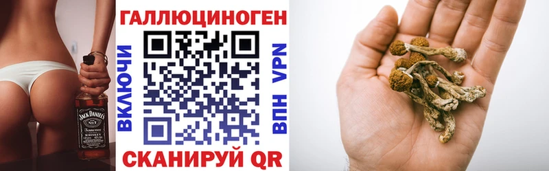 Галлюциногенные грибы Cubensis  Купить  Екатеринбург 